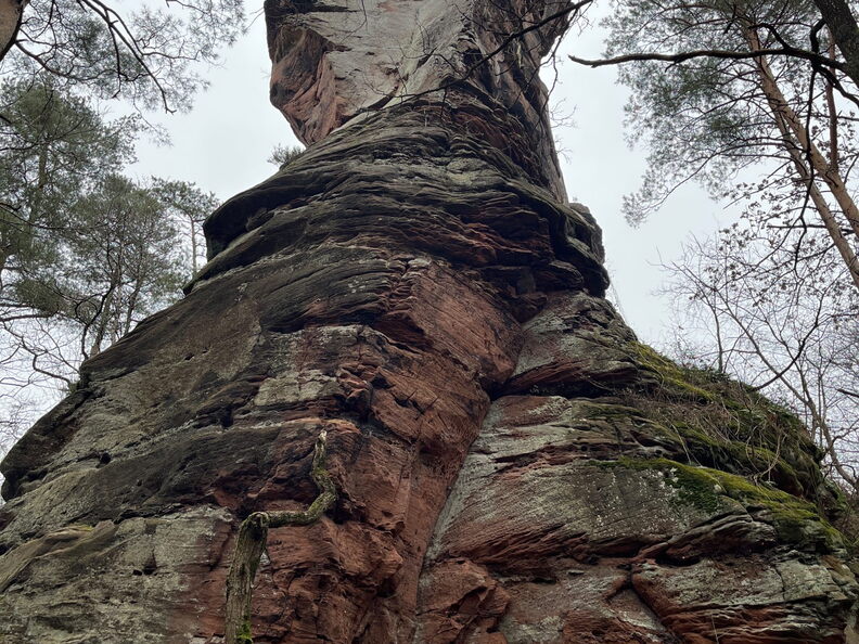 23-03-04 11-59-08 4696